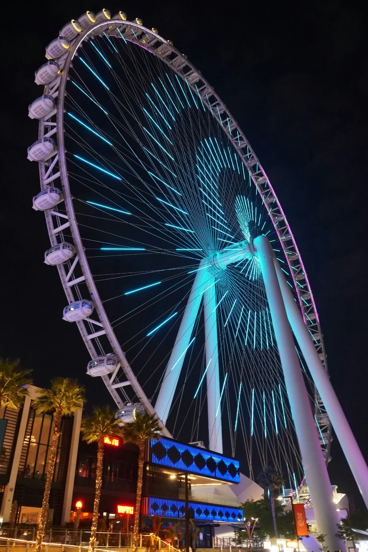 Ain Dubai - Night Time View attraction in Dubai or Abu Dhabi UAE